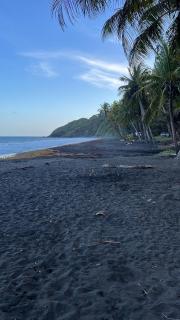 Les Jardins de Delgres - 7