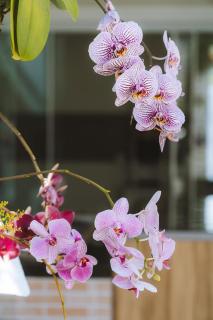 Casa com piscina e área de lazer com 08 dormitórios - 8
