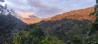 Ecocabaña Con Maloca cerca a Pijao Quindío - 4