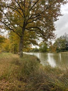Maison avec piscine & tennis partagés - proche Châteaux de la Loire - 1h30 de Paris - 8