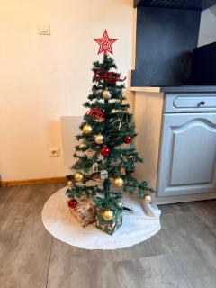 Superbe studio à proximité du centre-ville - Saint Die - 7