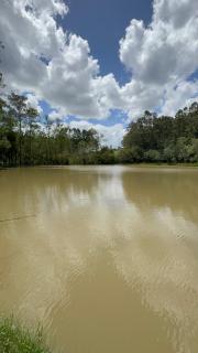 Pesqueiro Recanto dos Oliveiras - 8