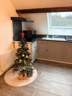 Superbe studio à proximité du centre-ville - Saint Die - 3