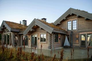 Handcrafted Log Cabin At Golsfjellet - 9