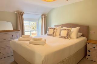 The Little Egret - 6