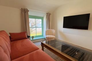 The Little Egret - 4