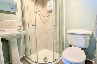 The Little Egret - 2