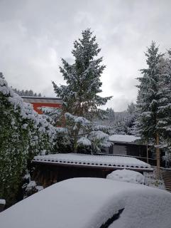 Chalet Heidi BKK - 8