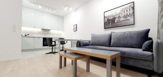 Belvedere Apartment near Royal Bath Lazienki Park - 8