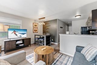 Modern 1 BDR Mountain Escape Stunning Location - 4