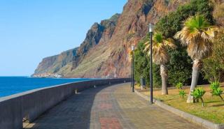 Camara De Lobos Lux Villa - 4