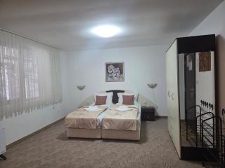 Маунтин лодж студио - 6