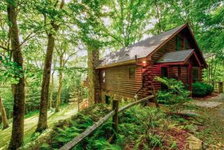 Banner Bunks at River Run - Banner Elk - 7