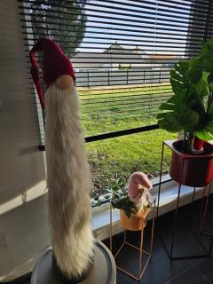 Villa de rêve - Sauna - Spa - babyfoot - Arcade - Quatzenheim - 3