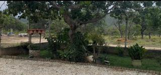 Chácara Pequizeiro - 2