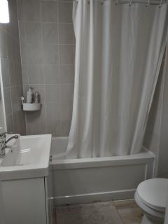 Basement Waterloo Near 24-7 Restraints - 9