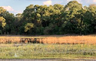 Riverise Guesthouse - 9