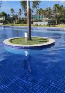 Porto de Galinhas, Flat em Muro Alto Condomínio Clube - 5