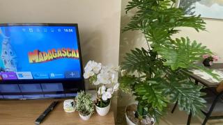 B4B Staycation Avida aspira tower 2 - 8