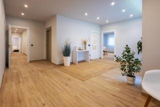 Bizi Baztan Goienetxea - 3