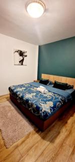 Near Airport Apartment - 0