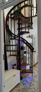 The white cat - Naples - 6