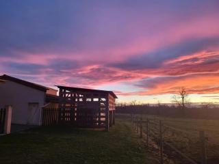 Bungalow confortable près de Valeille, 43 m² avec jardin - 0