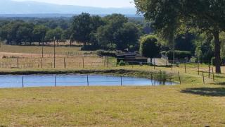 Bungalow confortable près de Valeille, 43 m² avec jardin - 8