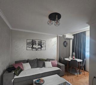 Stan na dan Bijeljina centar - 3