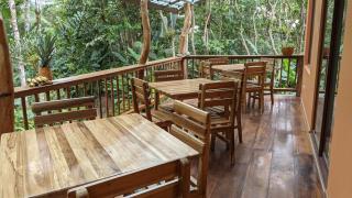 Lush riverside cloud forest home- walk to town - 4