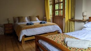 Lush riverside cloud forest home- walk to town - 3