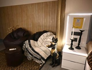 Pookie Stays, Noida - Noida - 1