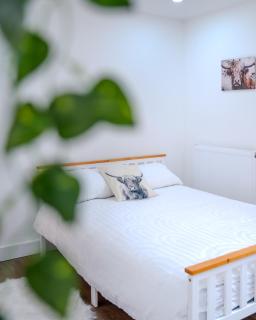 Modern 4BR Home Near Morriston Hospital - 3