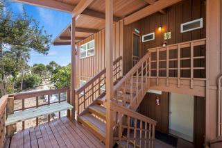 Gulf Front Escape on the Beach with Shared Lounging Deck & Pool - 1