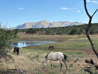 BellaTiny, Campsite - bring your own tent - 5
