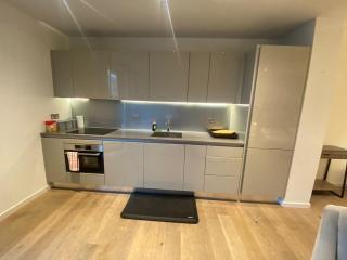 Entire Studio Apartment in Central London SE1 - 0