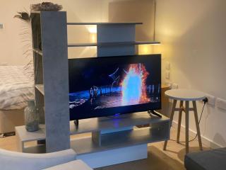 Entire Studio Apartment in Central London SE1 - 5