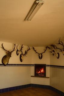 Casa Fuente Alhama - 3