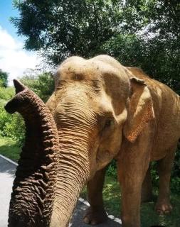 MK Yala Safari Cottage - 1