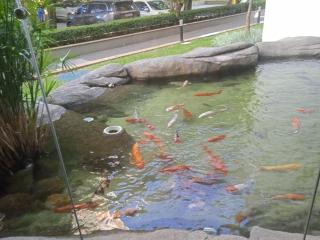 Suite Barra da Tijuca Rio de Janeiro - 7