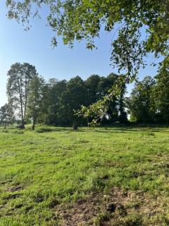 Mirabelka - domek -  - 9