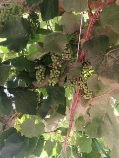 Casa Cassino com Piscina - 9