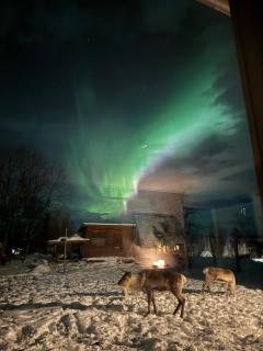 Rensjön Guesthouse - 0