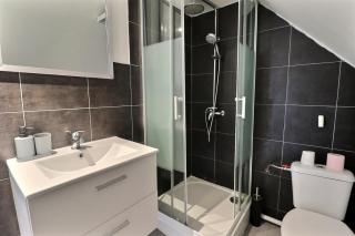 Les Apparts du Pont Vert - lit double - WiFi - tout inclus - 4 - 1