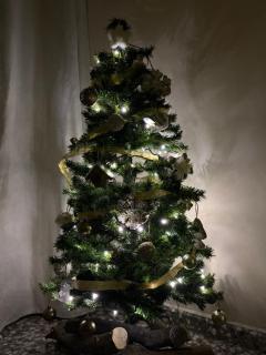 Villa Calatrue - Tabernas - 8