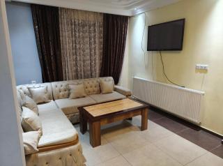 NEW BAKURIANI - Bakuriani - 8