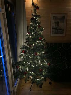 Le Ptit Châlet de Monnet - 6