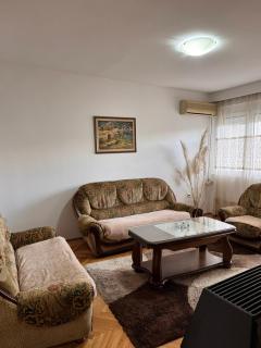 Family-style apartment in Podgorica - 9