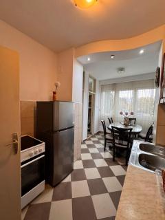 Family-style apartment in Podgorica - 1