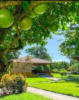 Bosque do Porto Praia Hotel - Porto Seguro - 9